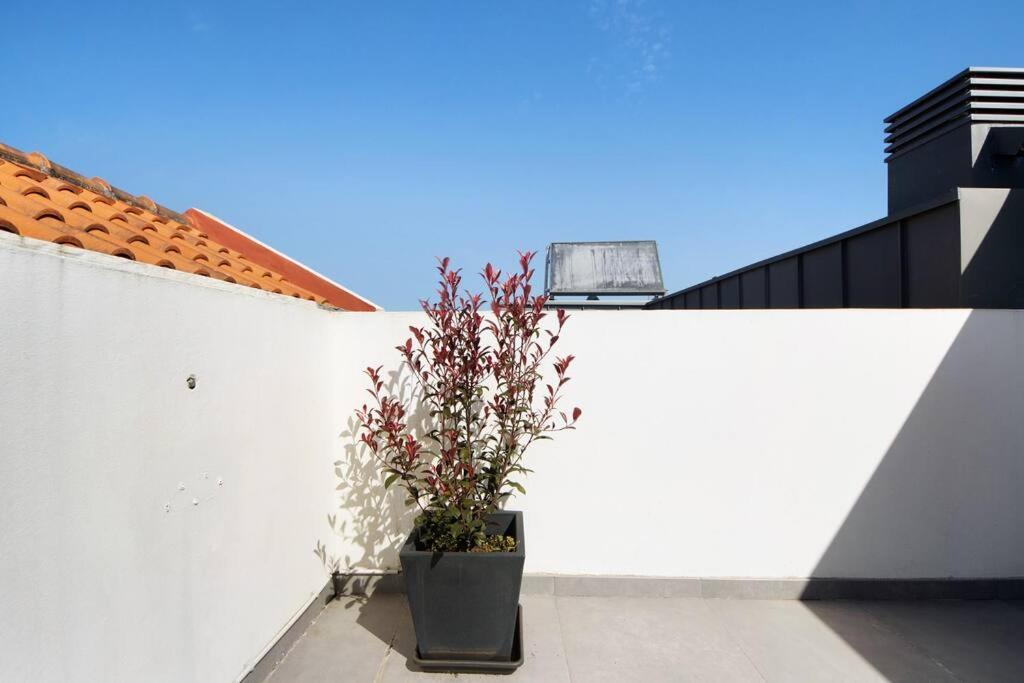 Apartmán Sao Roque Sweet Burgo Aveiro Exteriér fotografie